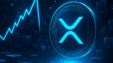 Understanding XRP Price USDT Shifts During Market Volatility