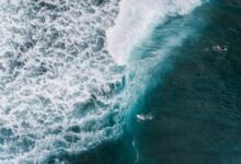 multiple activity identifiers listed