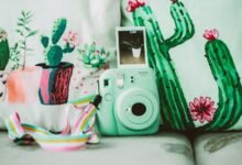 progress report for projects