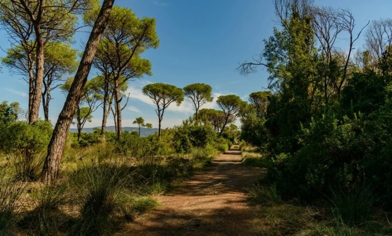 apex growth trajectory identified