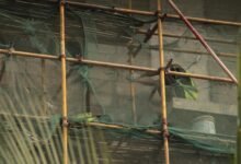 optimized frameworks and tools