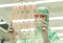 safety analysis for 09090115087