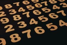 how 5137828400 works