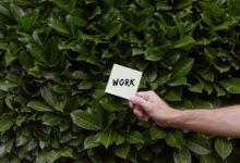 how 6949475496 functions matters