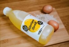 soldegicargots main ingredient guide