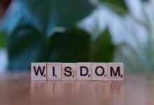 top reasons to learn 3024137472