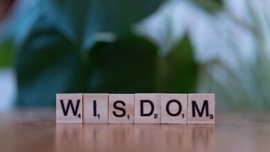 top reasons to learn 3024137472