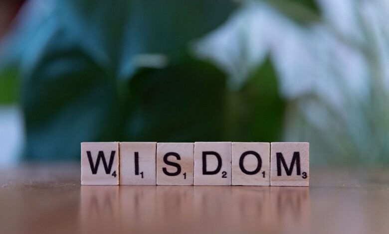 top reasons to learn 3024137472