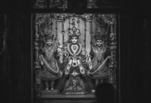 what is godildozav explained clearly