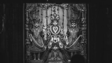 what is godildozav explained clearly